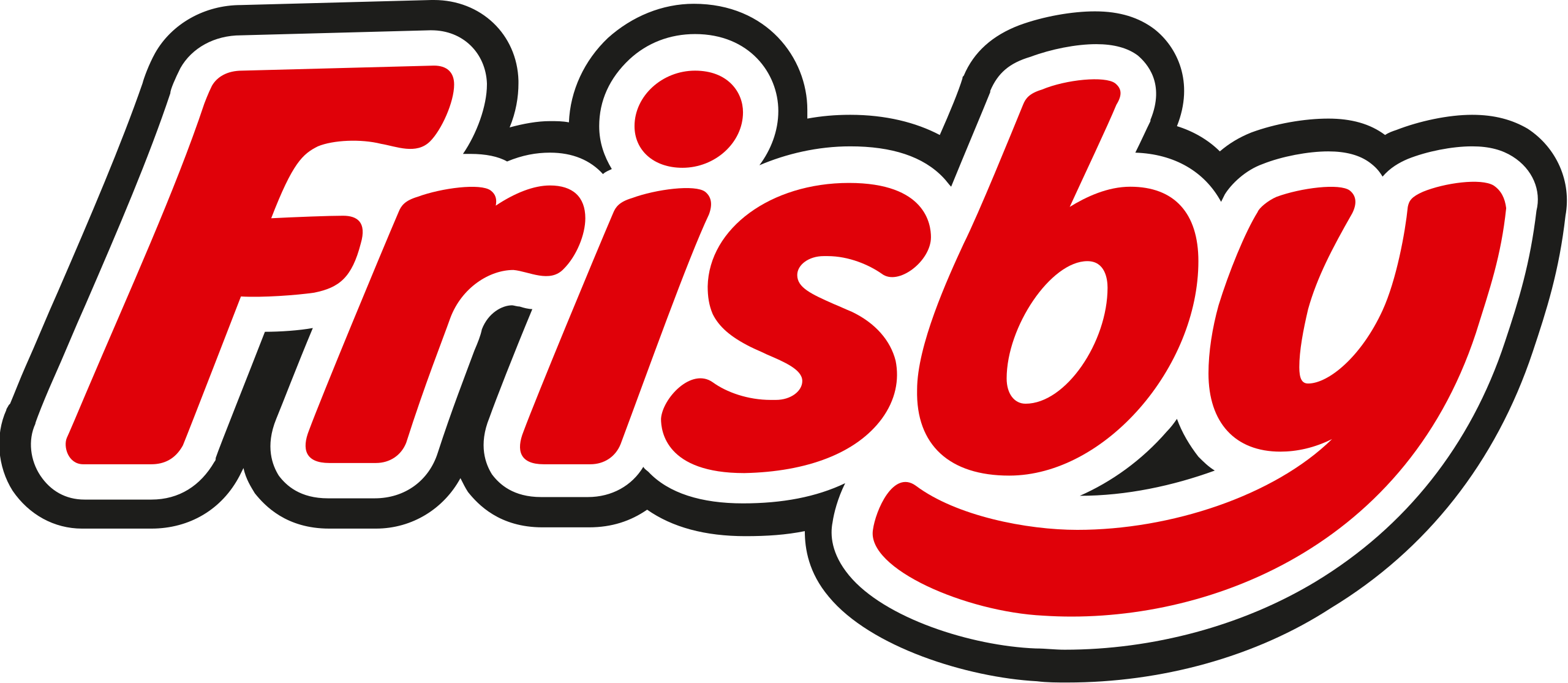 Frisby cliente solodomis sas